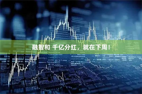 融智和 千亿分红，就在下周！