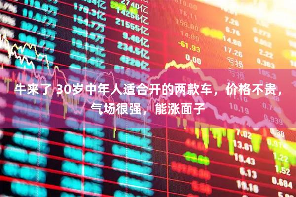 牛来了 30岁中年人适合开的两款车，价格不贵，气场很强，能涨面子