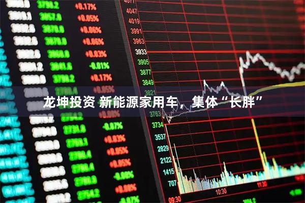 龙坤投资 新能源家用车，集体“长胖”